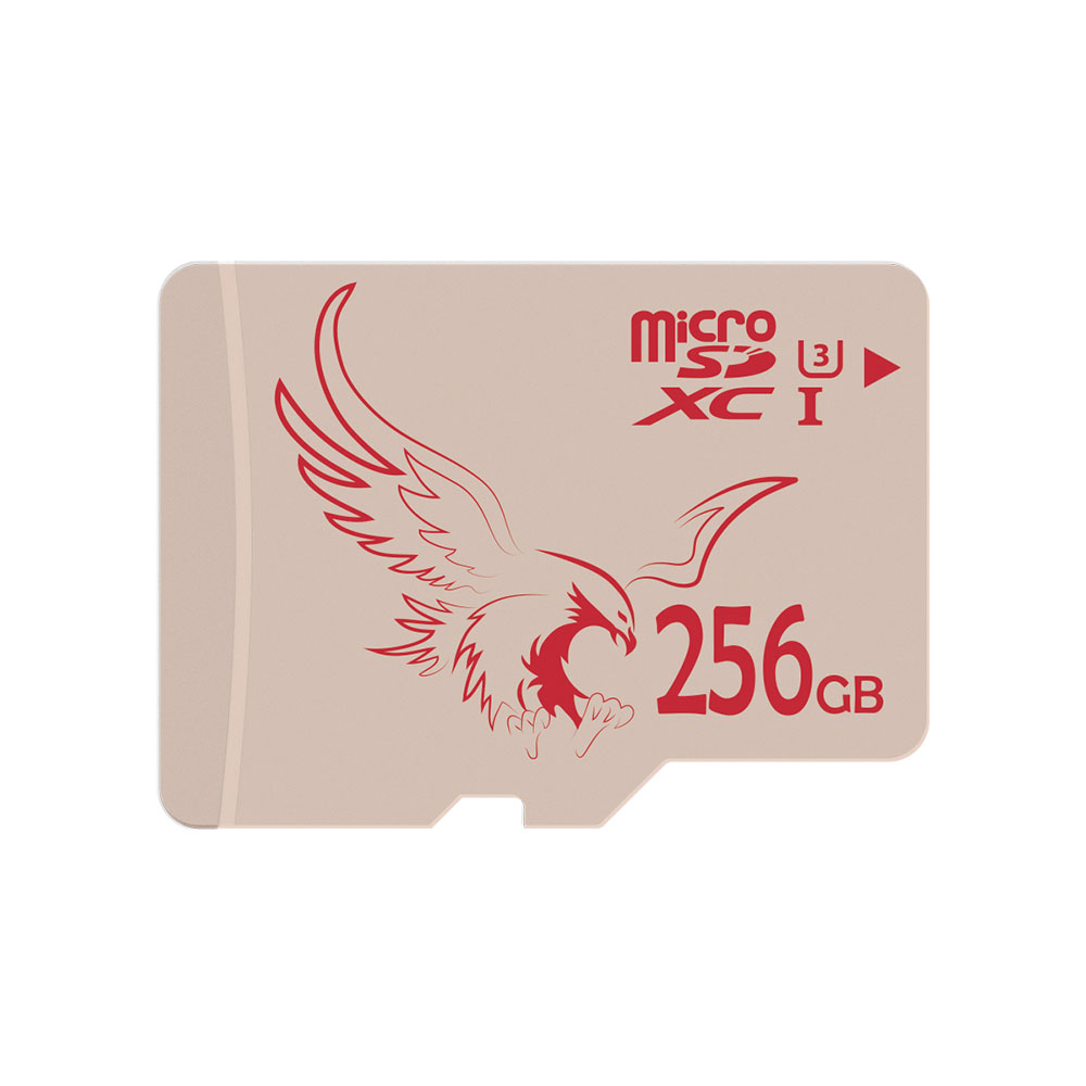 256GB Micro SD Card Class 10 U3